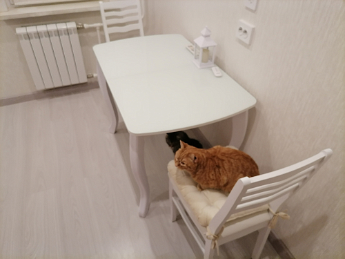 Стеклянный стол Бриллиант белый фото покупателя 16